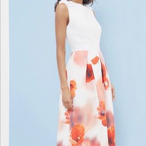 Ted Baker Dress